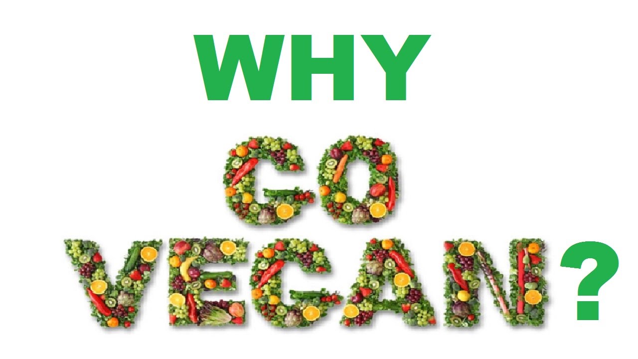 6 Reasons To Go Vegan Or Plant Based