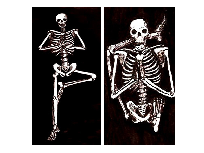 This Is Your Skeleton On Yoga