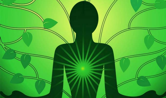 Want more love in your life? Here’s how to open your heart chakra.